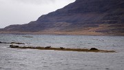 Islande-11-06-09-013-DSCN3410