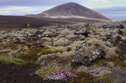 Islande-11-06-10-050-DSCN3497