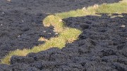 Islande-11-06-10-061-DSCN3508