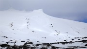 Islande-11-06-11-023-DSCN3538