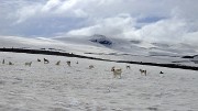 Islande-11-06-12-025-DSCN3609