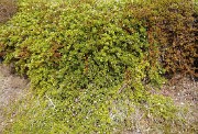 Islande-11-06-12-032-DSCN3616