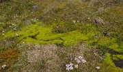 Islande-11-06-12-052-DSCN3639
