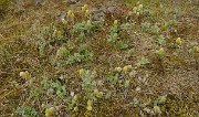 Islande-11-06-12-053-DSCN3640
