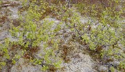 Islande-11-06-12-067-DSCN3654