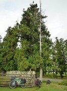Georgie-J01--2011-08-04-01-Zugdidi
