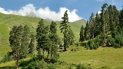 Georgie-J04--2011-08-07-29-BaladeUshba