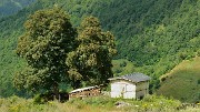 Georgie-J04--2011-08-07-30-BaladeUshba