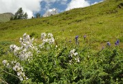 Georgie-J04--2011-08-07-37-BaladeUshba