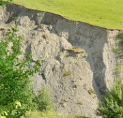 Georgie-J04--2011-08-07-62-BaladeUshba