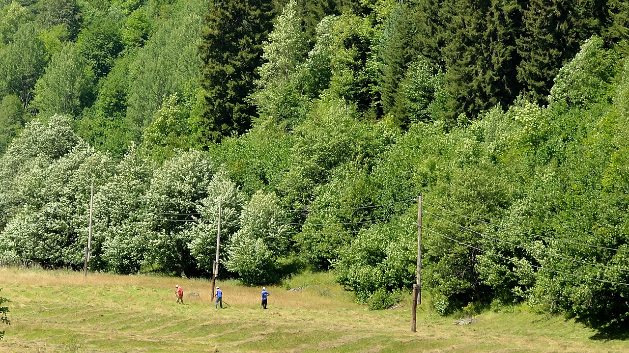Georgie-J06--2011-08-09-19-MestiaUshguli.jpg - Travaux des champs