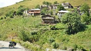 Georgie-J06--2011-08-09-22-MestiaUshguli