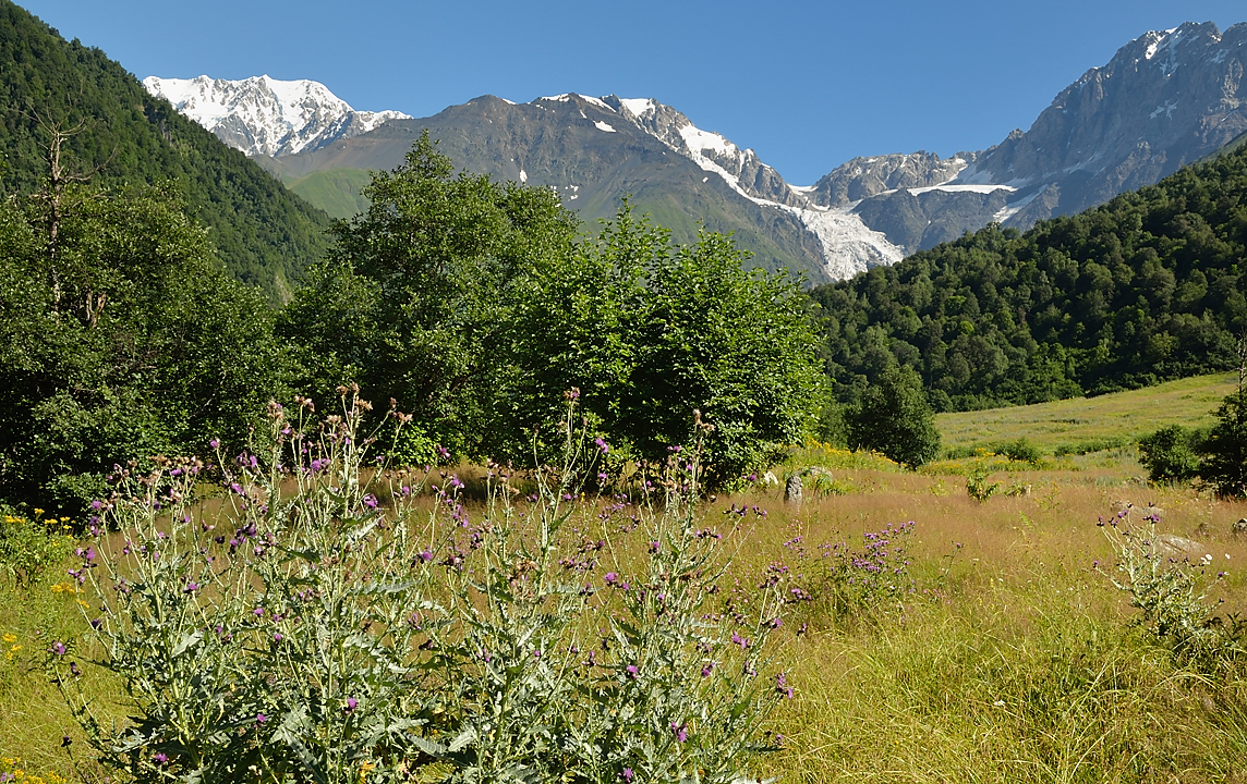 Georgie-J08--2011-08-11-06-ZagaroLentekhi.jpg - Le matin il fait grand beau (comme souvent) : belle vue sur le massif de l'Ailama-- à gauche p.-ê. le Shkhara