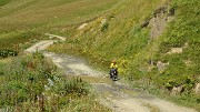 Georgie-J07--2011-08-10-41-Zagaro