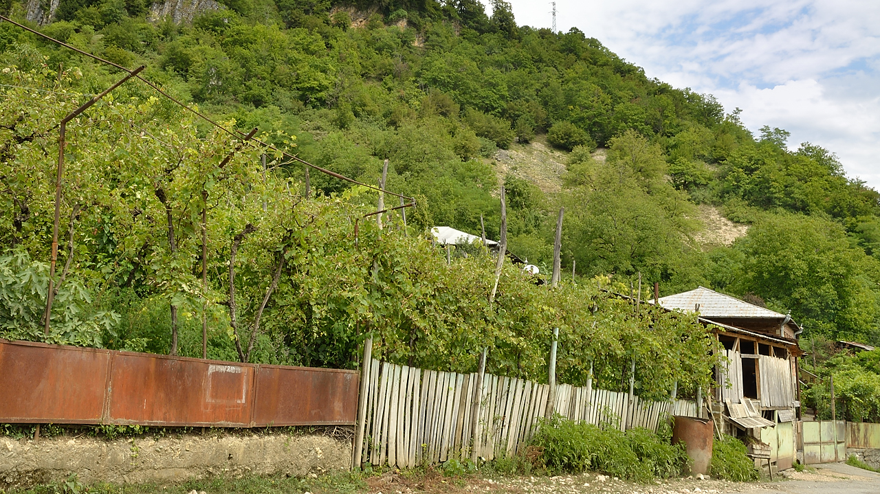 Georgie-J09--2011-08-12-11-LentekhiAmbrolau.jpg - Des vignes un peu avant ou après Orbeli 