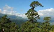 Georgie-J15--2011-08-18-04-BakurianiBorjomi