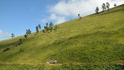 Georgie-J15--2011-08-18-06-BakurianiBorjomi