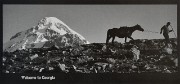 Georgie-CartePostale-Kazbegh-NB