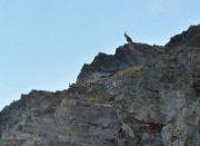 CroixBelledonne-110924-16-DSC_0156