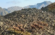 CroixBelledonne-110924-19-DSC_0163