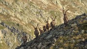 CroixBelledonne-110924-20-DSC_0165