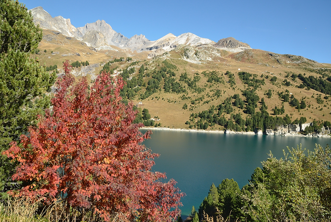 DSC_0311-20111002-111-EscaladeAussois.jpg - Dimanche und grande classique, la voie du Dièdre dans le Rateau d'Aussois : a la descente, ambience automnale sur le plan d'Amont