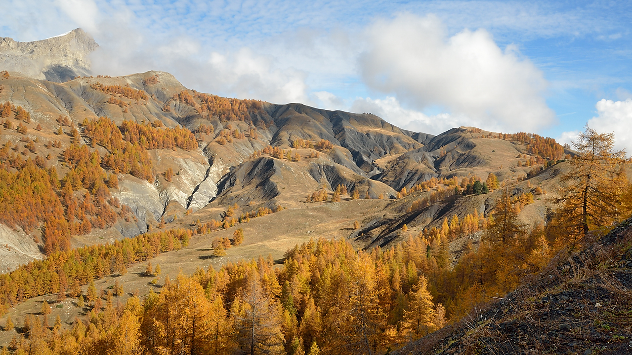 DSC_0470-111031-19-cols-Ubaye-velo.jpg - montee au col des Champs