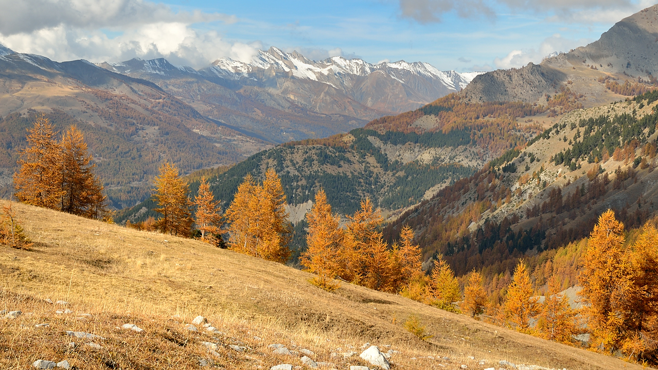 DSC_0475-111031-24-cols-Ubaye-velo.jpg - vue du col des Champs vers le nord cote Verdon