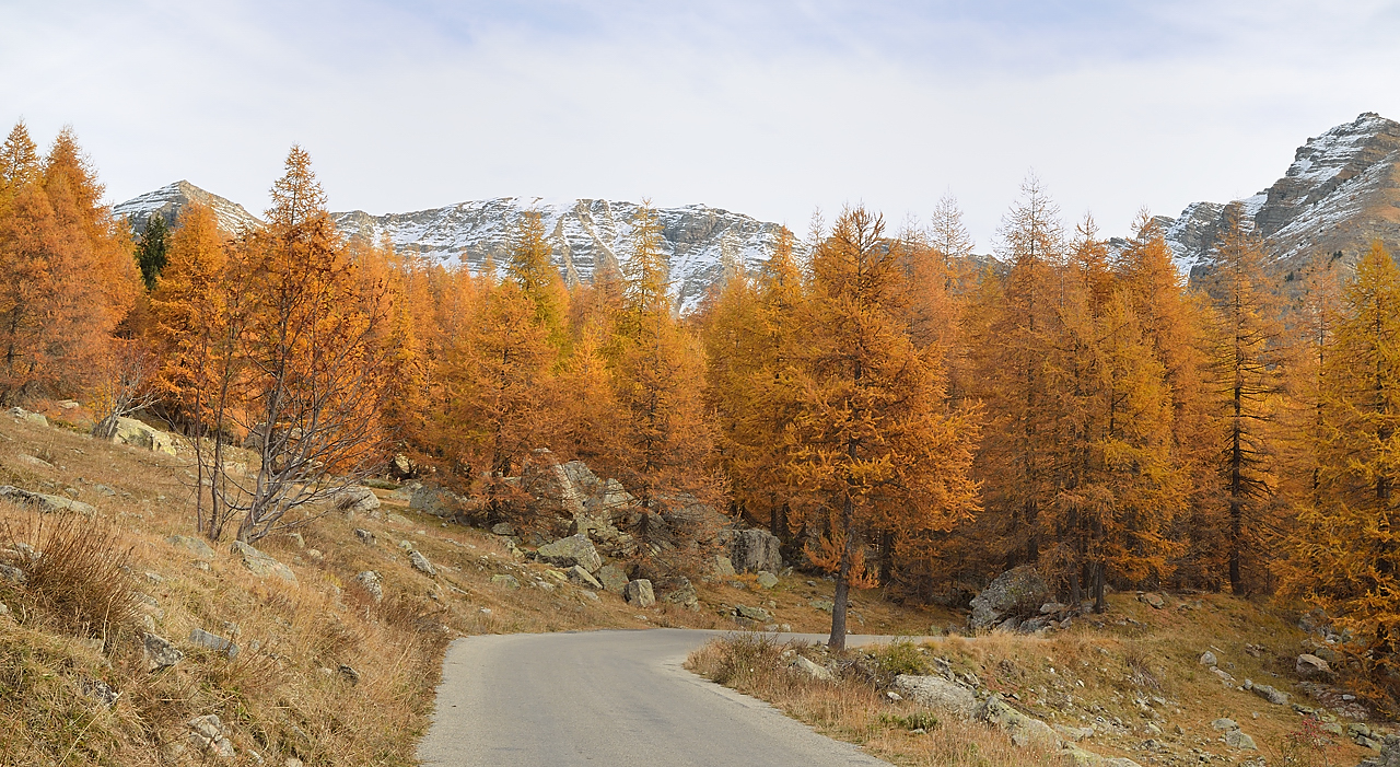 DSC_0510-111101-59-cols-Ubaye-velo.jpg - montee au col de la Cayolle apres Estenc