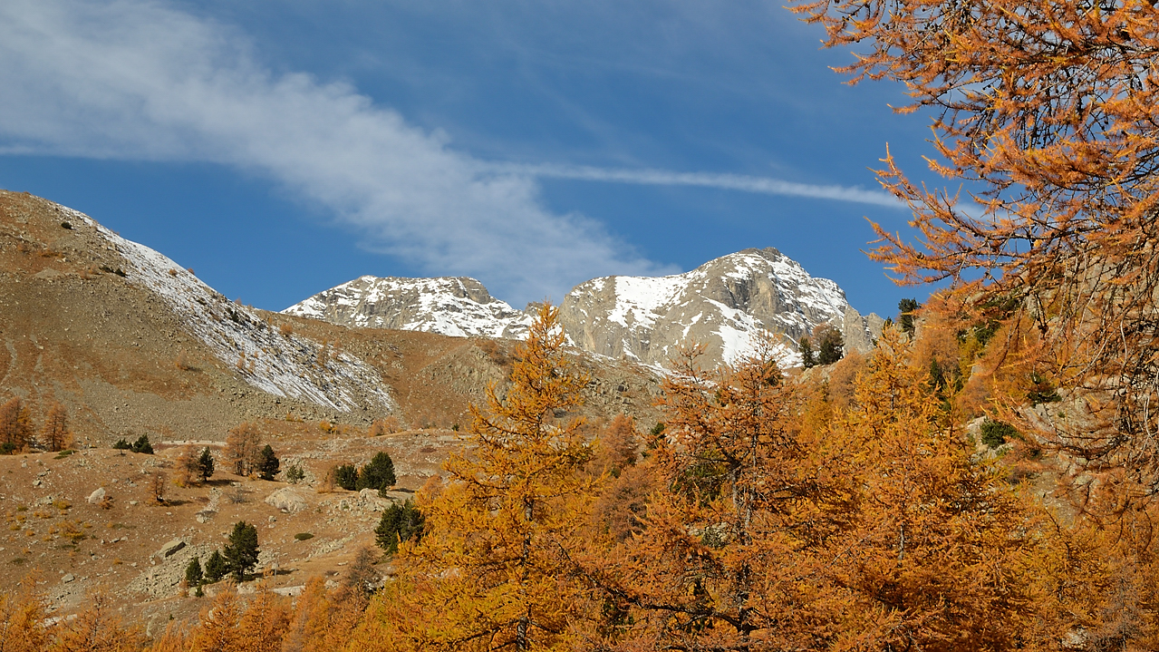DSC_0519-111101-68-cols-Ubaye-velo.jpg - montee au col de la Cayolle apres Estenc