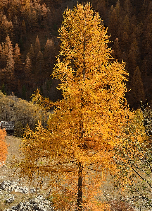 DSC_0529-111101-78-cols-Ubaye-velo.jpg - village des Fours-St-Laurent dans la descente du col de la Cayolle vers Barcelonnette