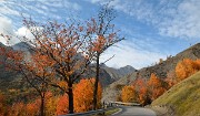 DSC_0492-111031-41-cols-Ubaye-velo