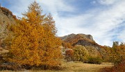 DSC_0504-111101-53-cols-Ubaye-velo