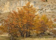 DSC_0505-111101-54-cols-Ubaye-velo