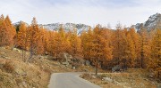 DSC_0510-111101-59-cols-Ubaye-velo