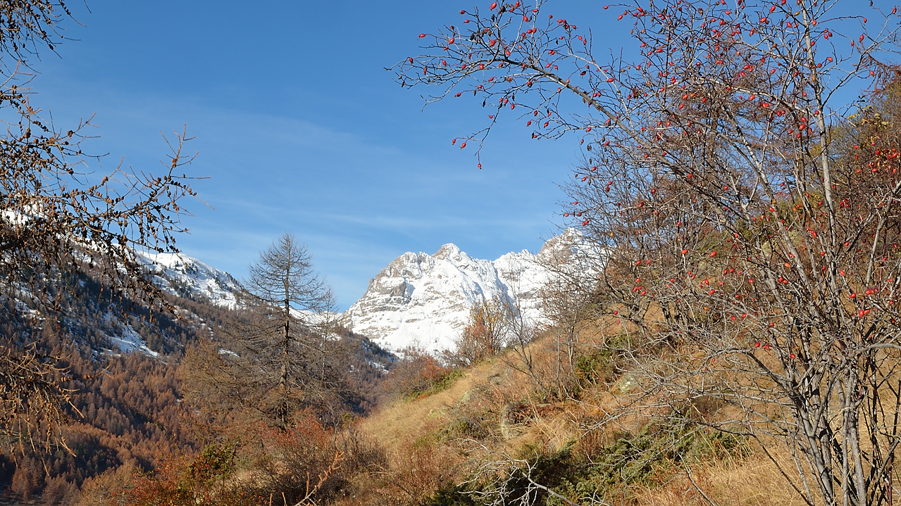 DSC_0561-11-11-13-25-Nevache.jpg - chemin de la Ronde de la vallée de Névache : vue sur la tete de la Cassille (?) juste apres le depart