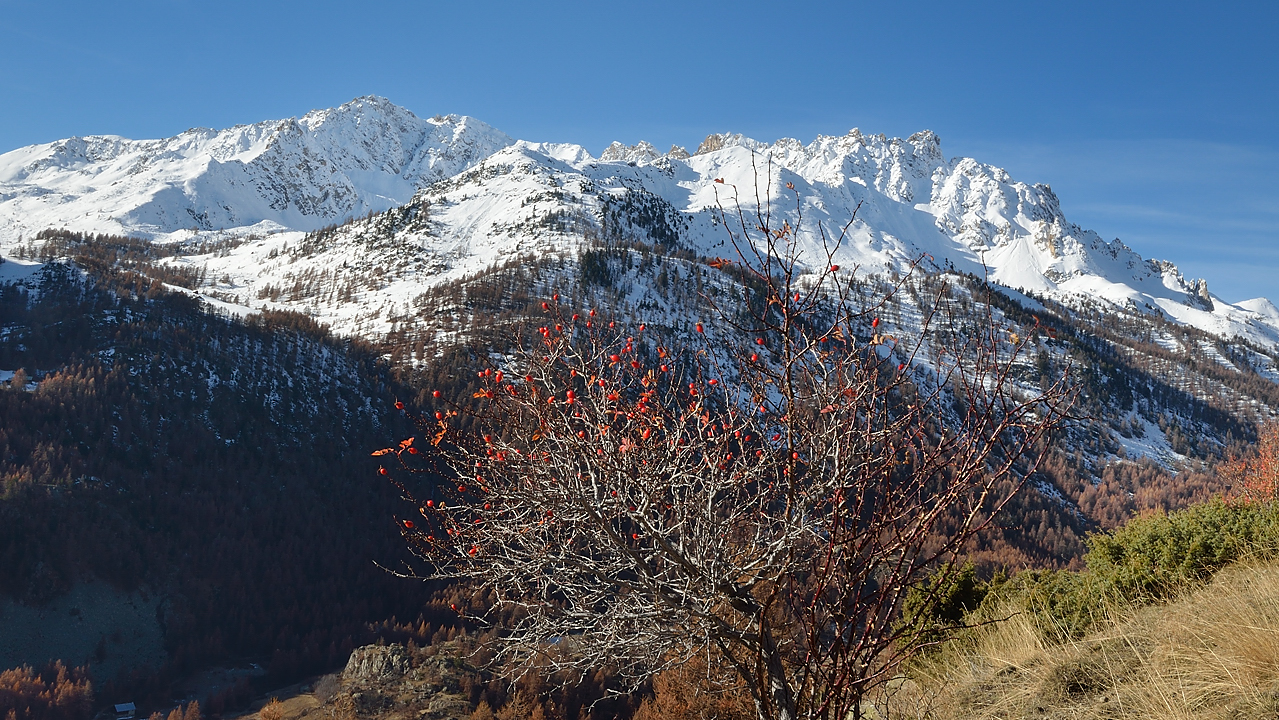 DSC_0564-11-11-13-28-Nevache.jpg - chemin de la Ronde de la vallée de Névache  : vue sur la crete de Queyrelin juste apres le depart