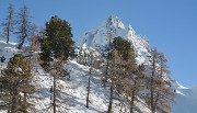 DSC_0557-11-11-12-21-Nevache
