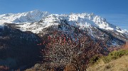 DSC_0564-11-11-13-28-Nevache