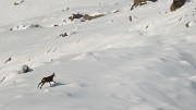 DSC_0595-11-11-13-53-Nevache