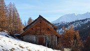 DSC_0607-11-11-13-65-Nevache