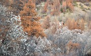DSC_0615-11-11-13-72-Nevache