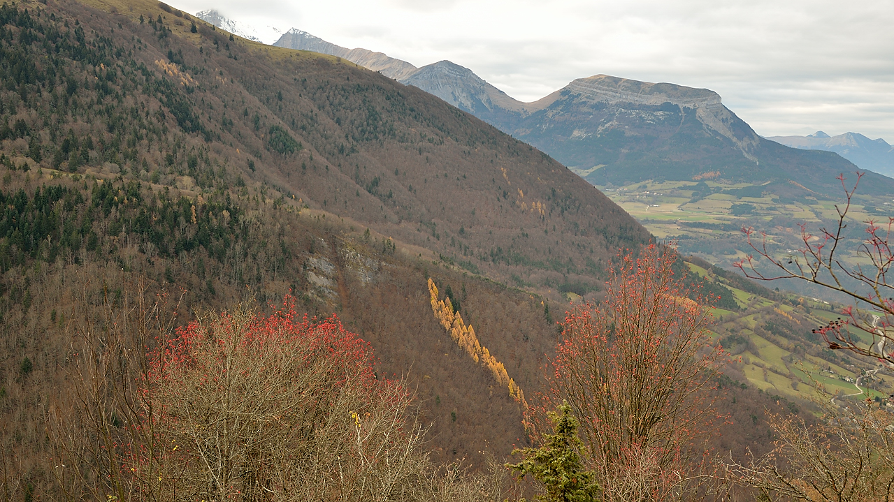 DSC_0622-111120-03-Beaumont.jpg - quelques restes de couleur d'automne --- mais un temps un peu tristounnet