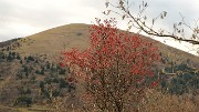 DSC_0620-111120-01-Beaumont