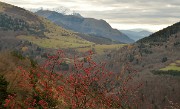 DSC_0629-111120-10-Beaumont