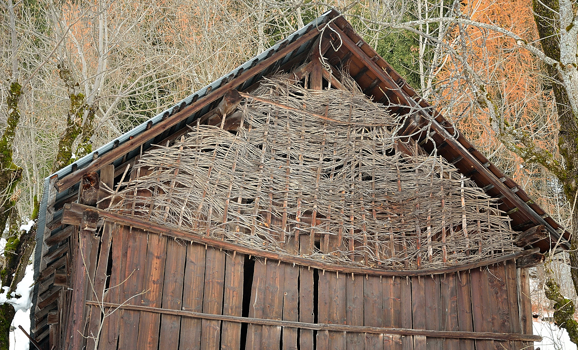 DSC_0759.jpg - Les cabanes du Replat : a la montee et a l'ombre