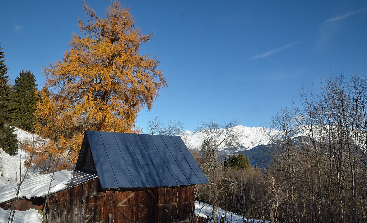DSC_0772.jpg - Les cabanes du Replat : a la descente au soleil
