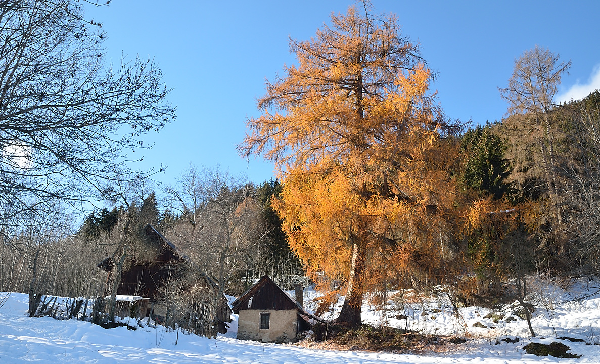 DSC_0773.jpg - Les cabanes du Replat : a la descente au soleil