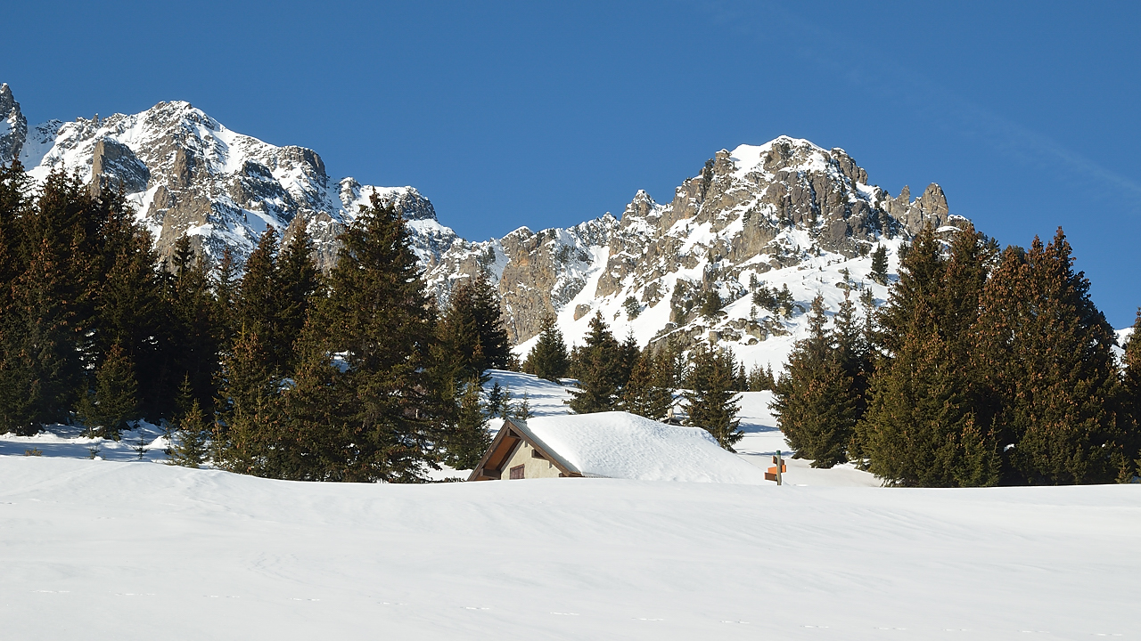 DSC_0824.jpg - L'arrivee a la cabane