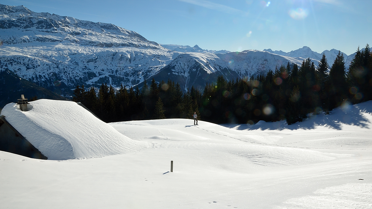 DSC_0830.jpg